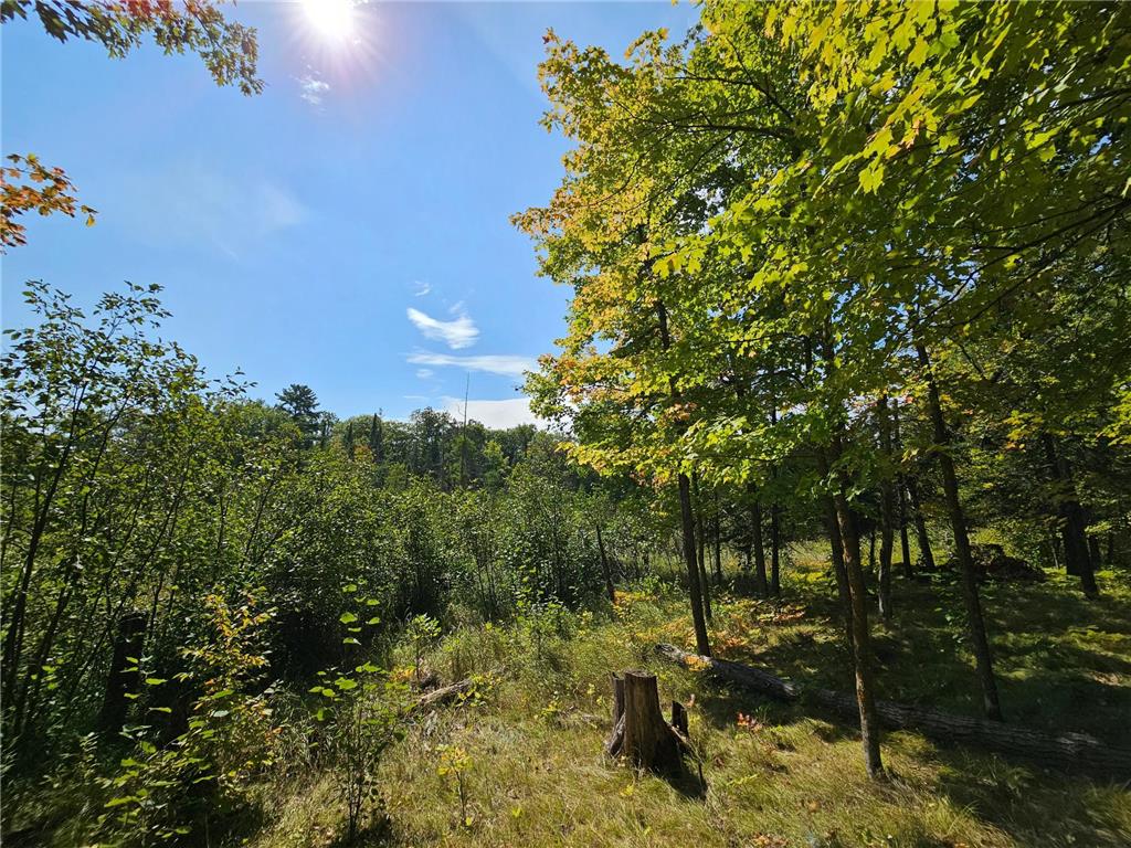 32650 Peony Avenue Farm Island Twp MN 56431 6482969 image1