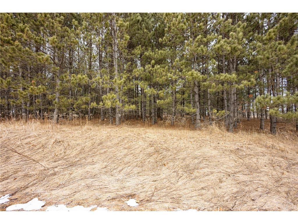 32656 310th Street Little Elk Twp MN 56438 7033439 image4
