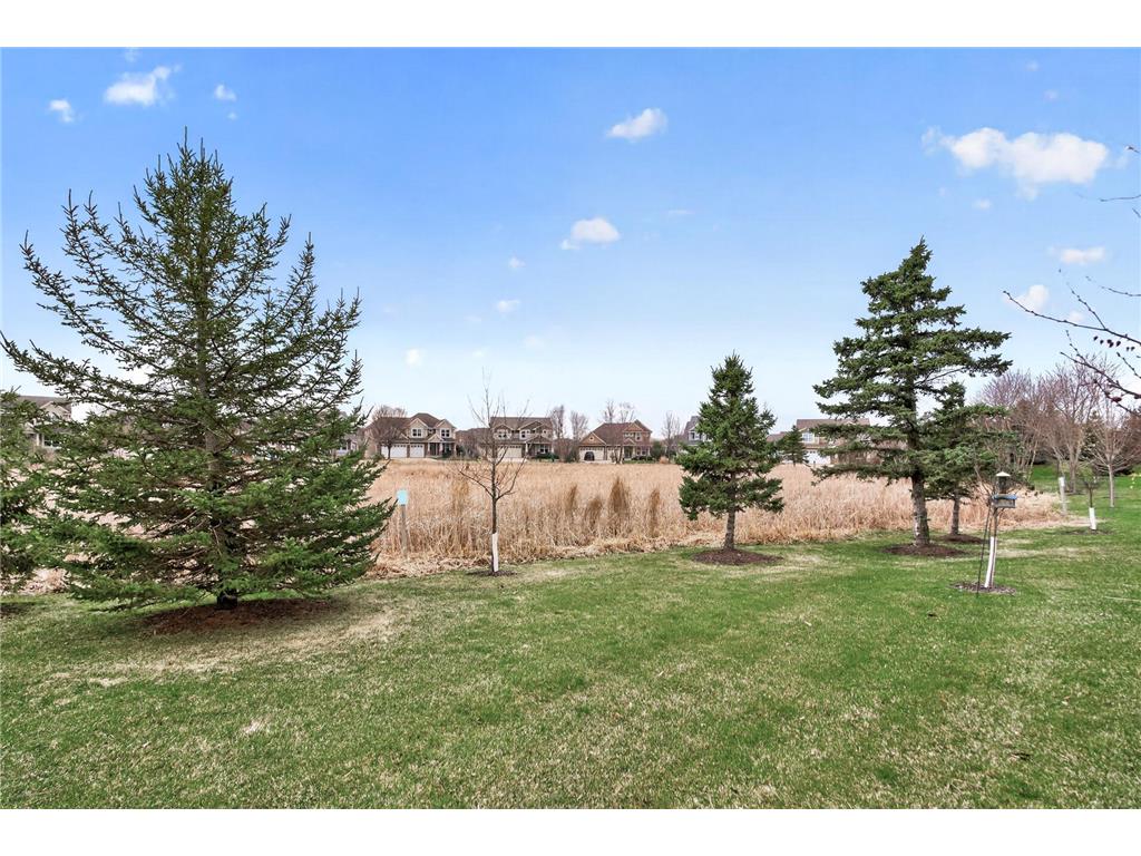 3266 Red Oak Trail Medina MN 55340 7037525 image31