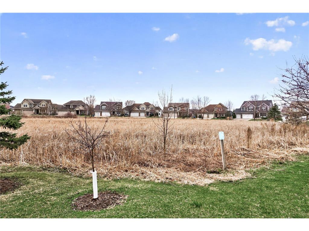 3266 Red Oak Trail Medina MN 55340 7037525 image35