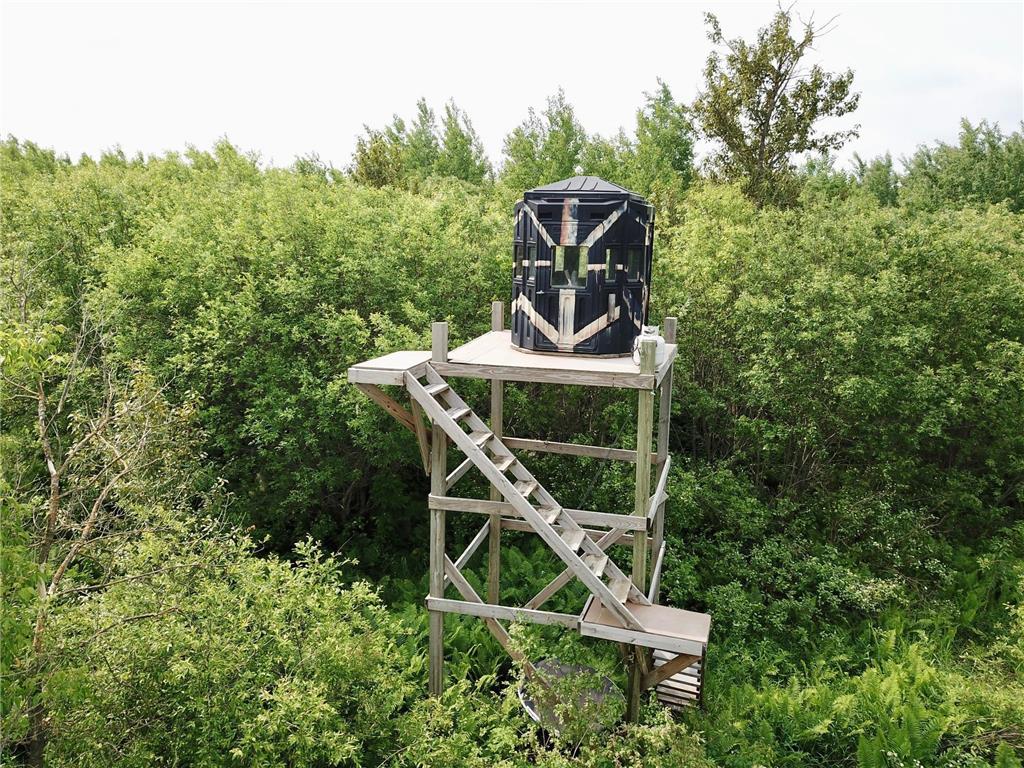 3274 County Road 1 SW Boone Twp MN 56623 6736738 image17