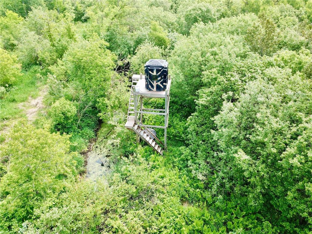 3274 County Road 1 SW Boone Twp MN 56623 6736738 image18