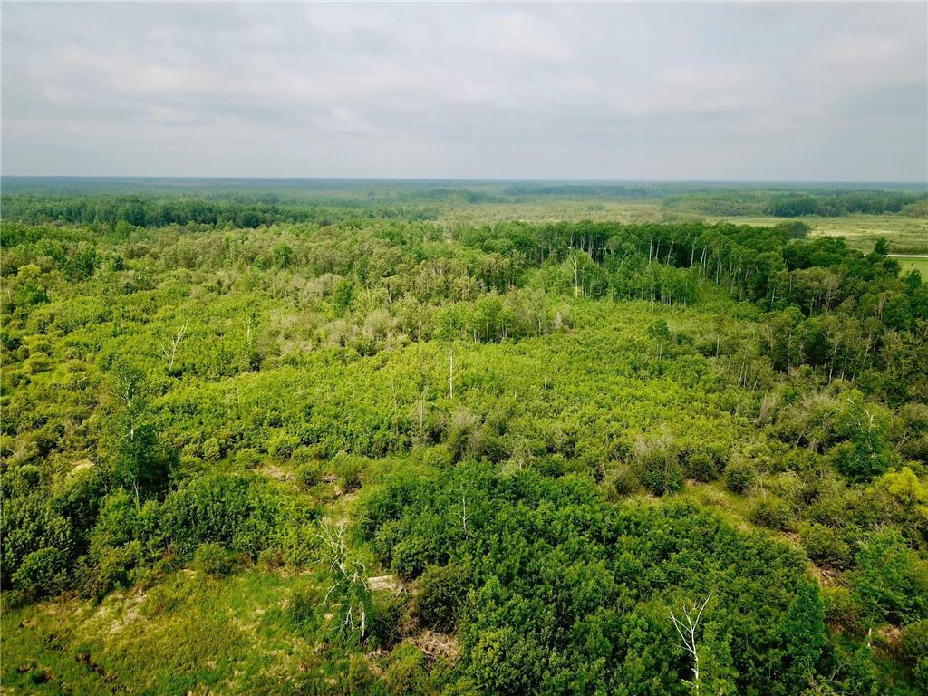 3274 County Road 1 SW Boone Twp MN 56623 6736738 image19