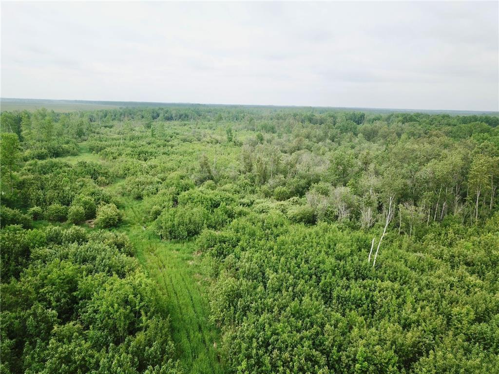 3274 County Road 1 SW Boone Twp MN 56623 6736738 image20