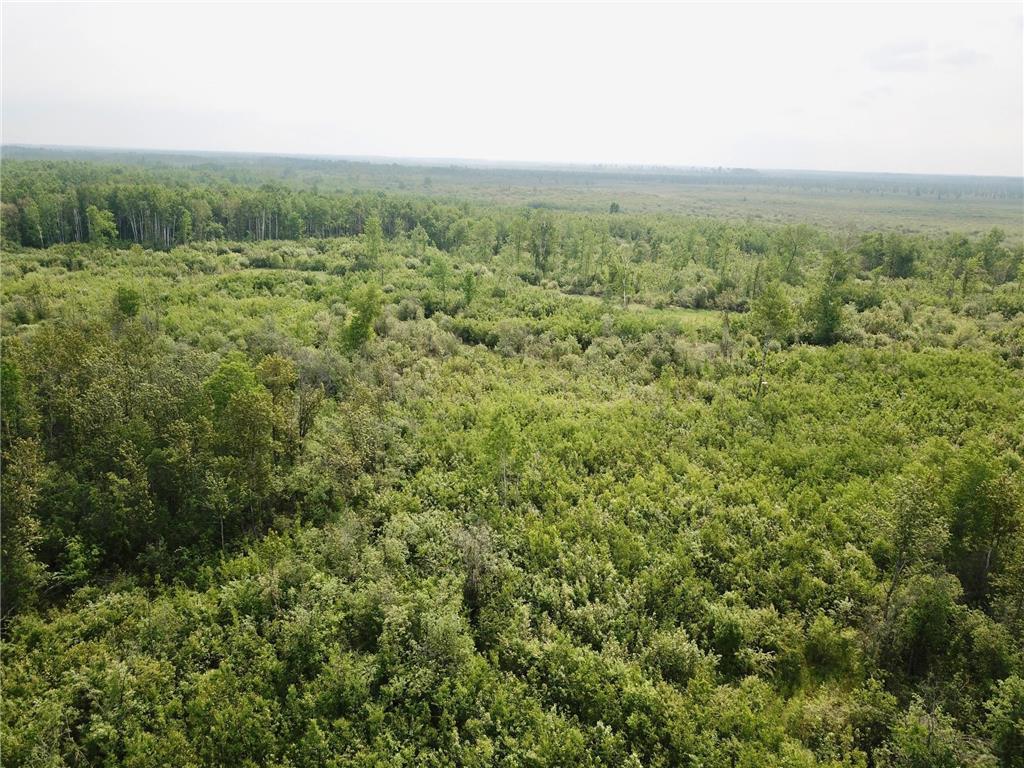 3274 County Road 1 SW Boone Twp MN 56623 6736738 image21