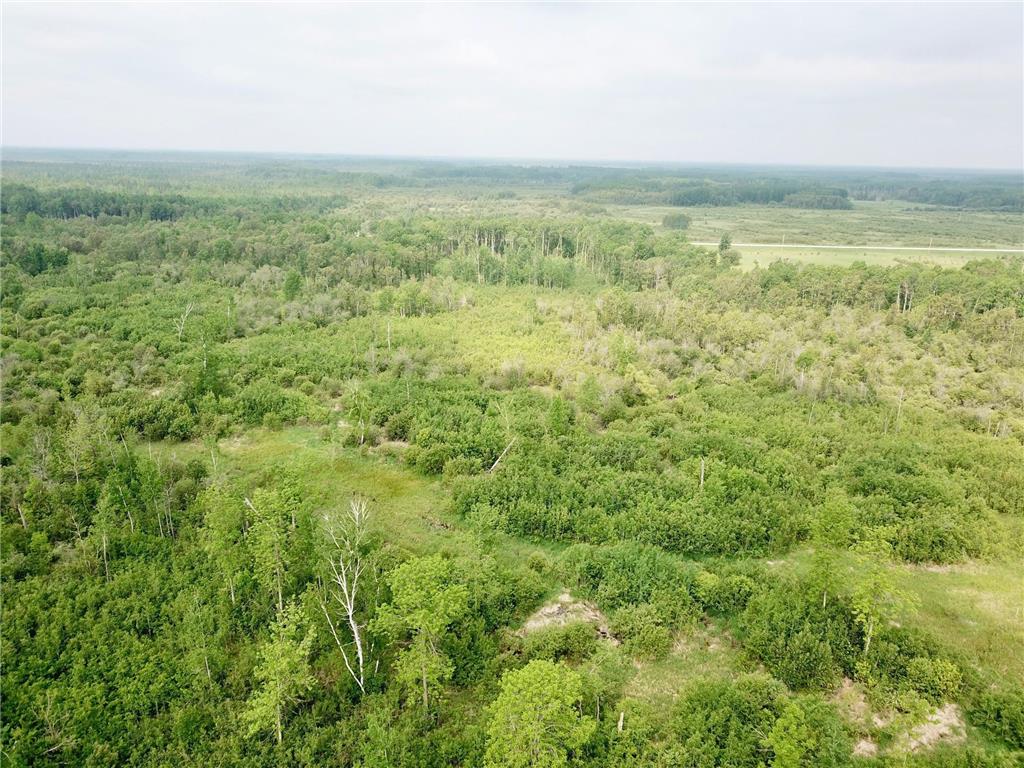 3274 County Road 1 SW Boone Twp MN 56623 6736738 image22