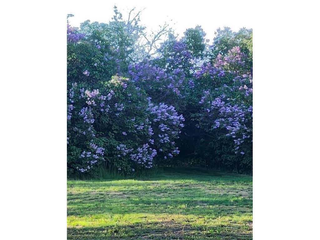 32745 County Highway 37 Round Lake N Twp MN 56575 7000373 image79