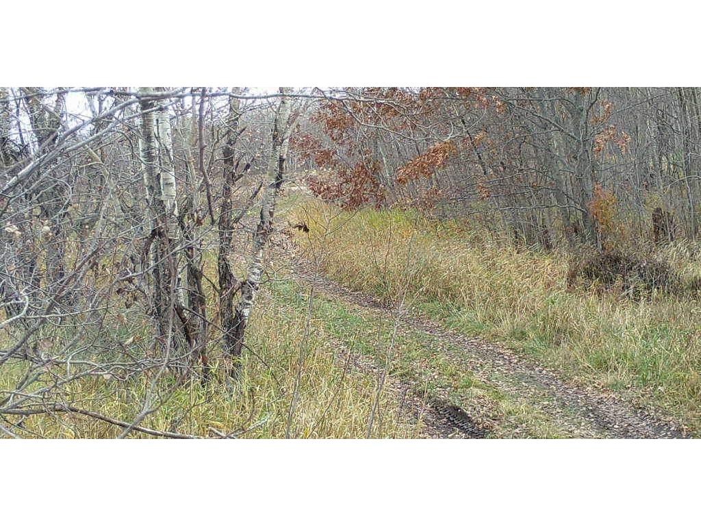 32752 163rd Street Pierz MN 56364 6359992 image1