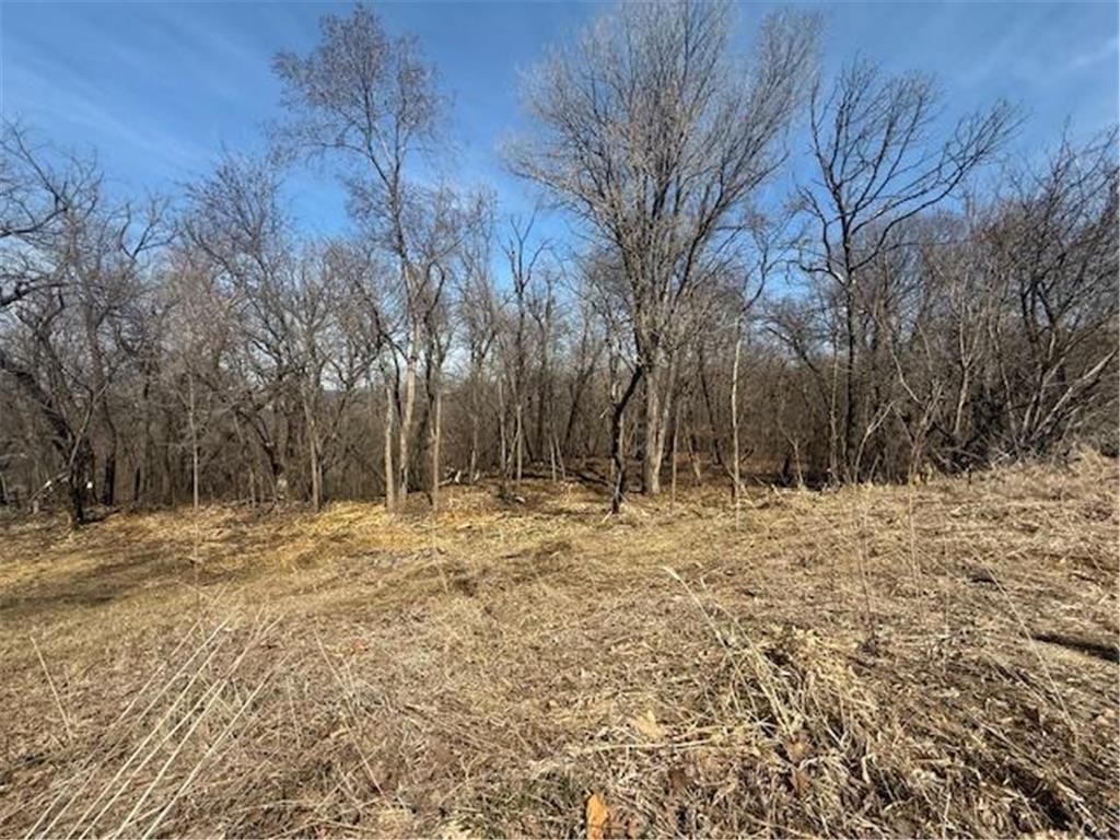 328 Limestone Road Cannon Falls MN 55009 6817477 image10