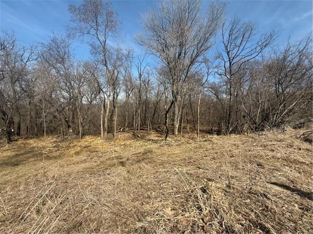 328 Limestone Road Cannon Falls MN 55009 6817477 image11