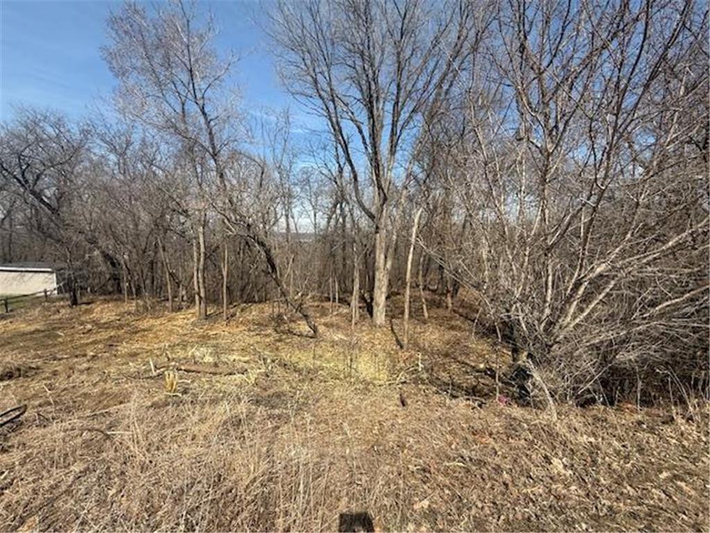 328 Limestone Road Cannon Falls MN 55009 6817477 image4