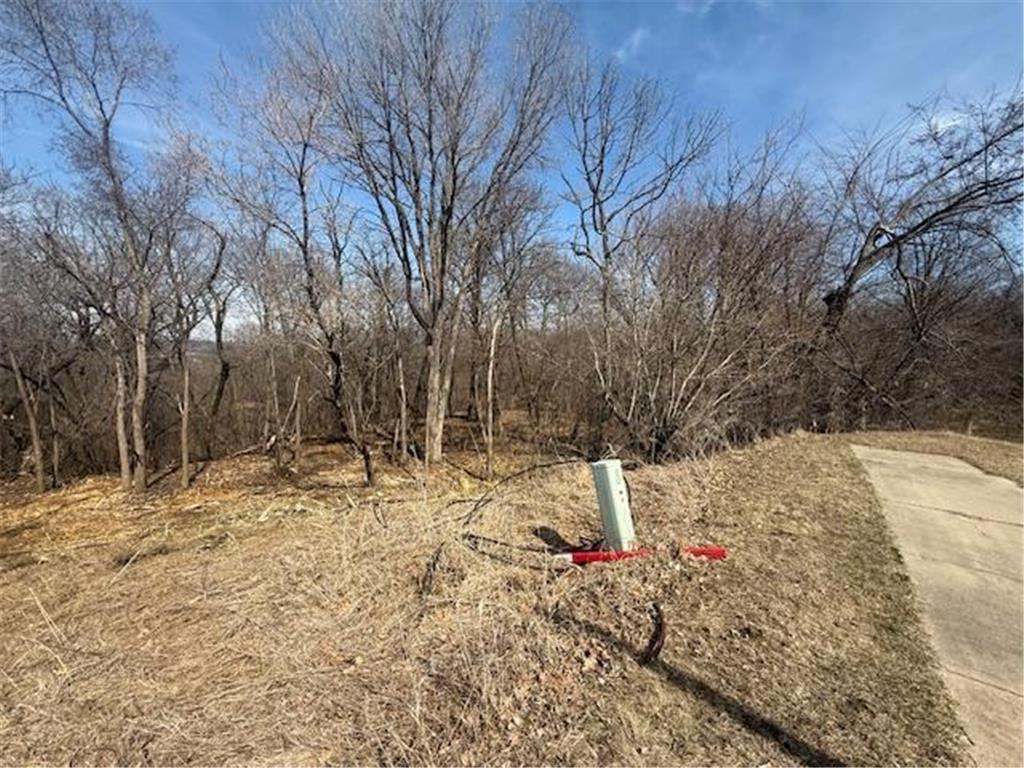 328 Limestone Road Cannon Falls MN 55009 6817477 image5