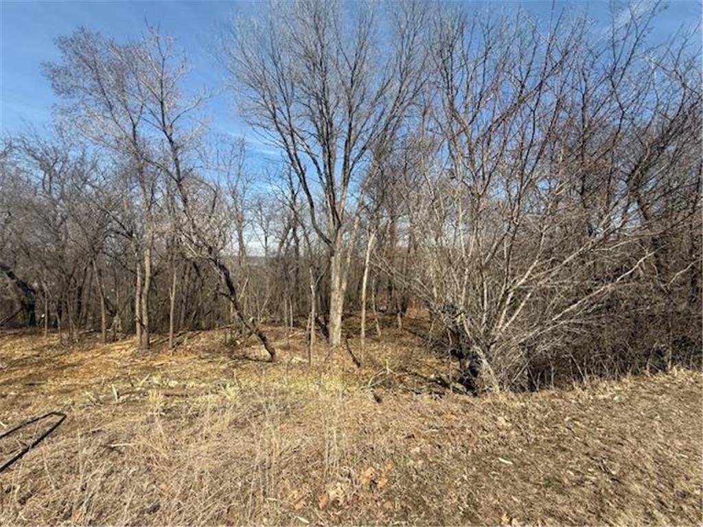 328 Limestone Road Cannon Falls MN 55009 6817477 image8