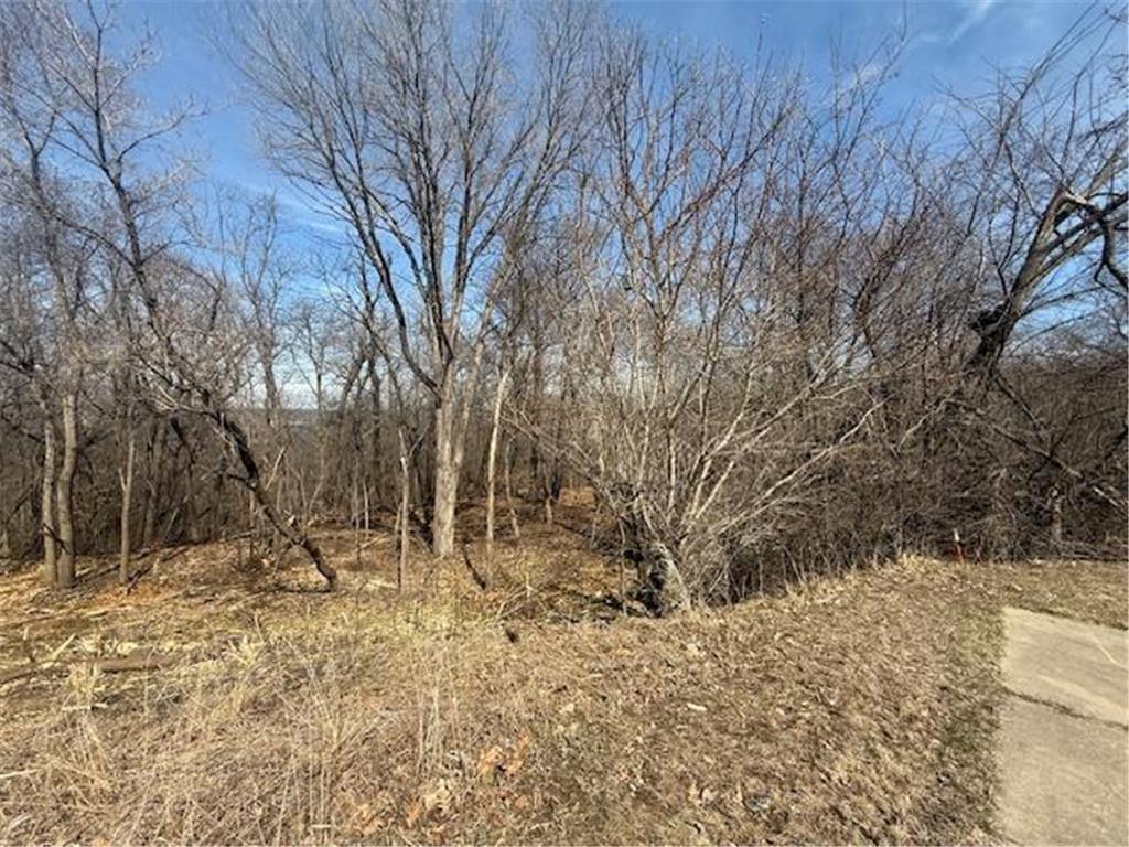 328 Limestone Road Cannon Falls MN 55009 6817477 image9