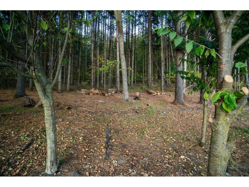 328 Nordveien Drive Boyceville WI 54725 6805168 image45