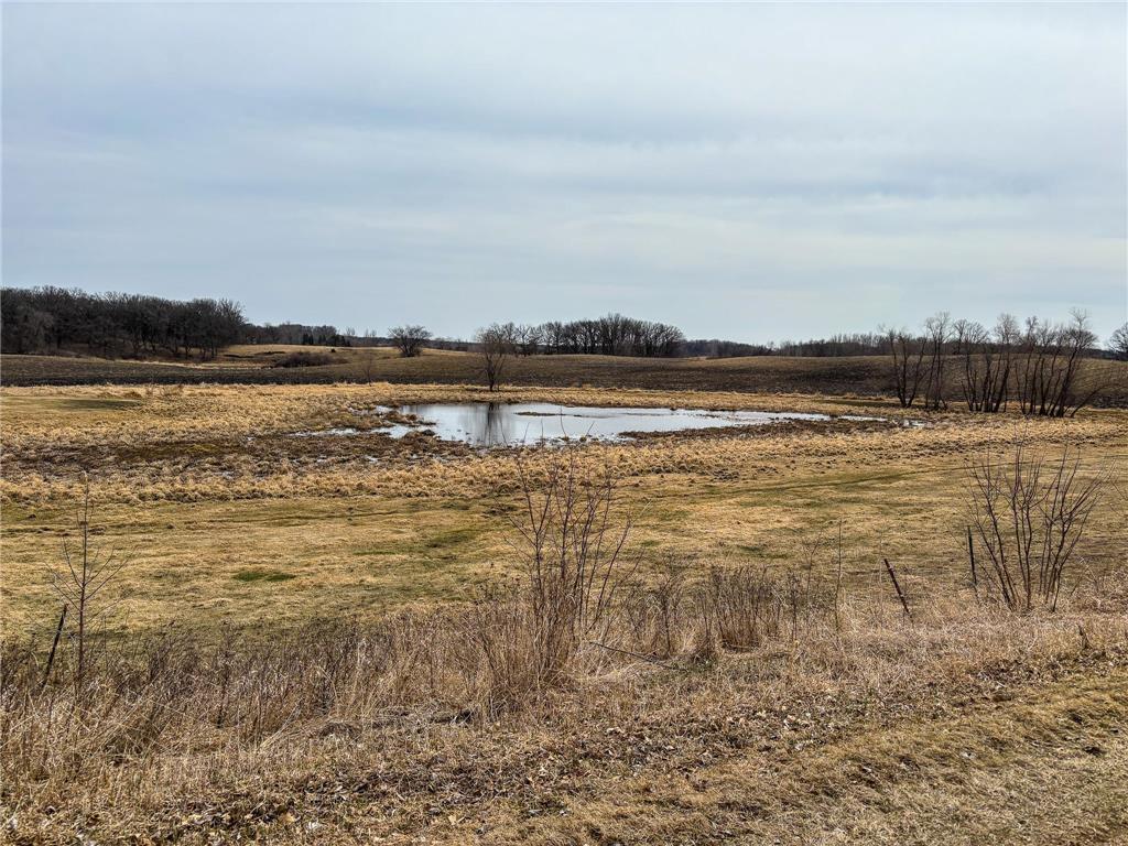32807 200th Street Underwood MN 56586 - Fiske 7045558 image49