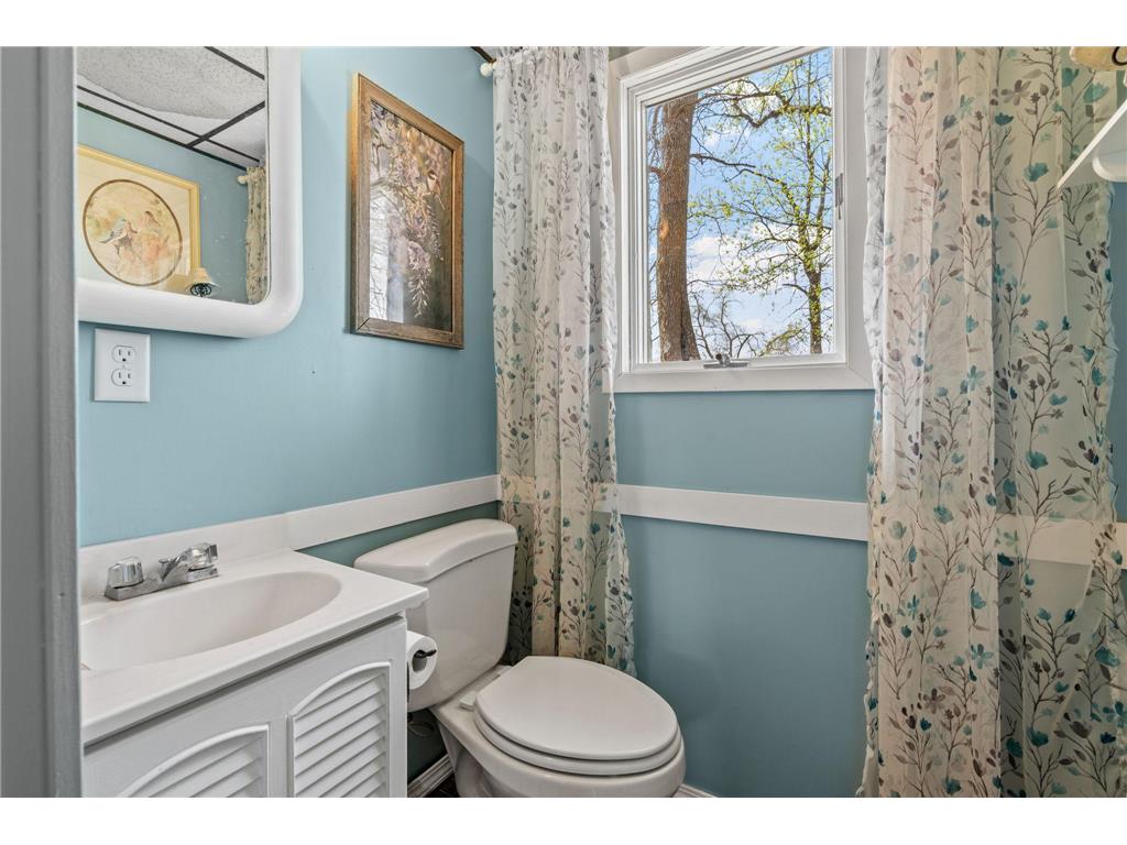 32818 742nd Avenue South Haven MN 55382 - Francis 7052018 image30