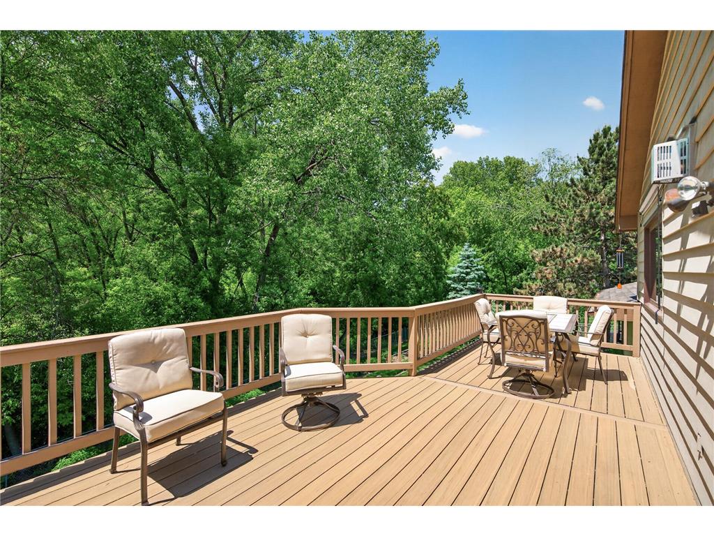 3286 York Alcove Woodbury MN 55125 7066839 image35