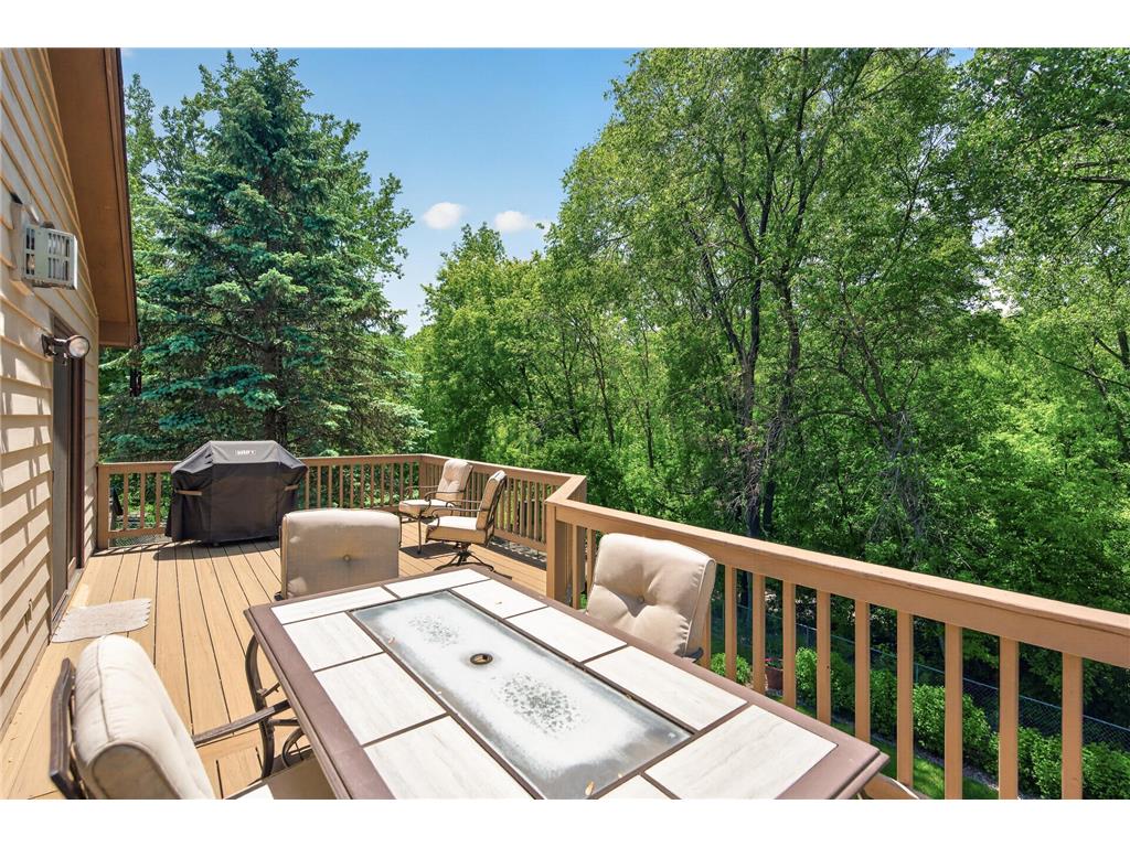 3286 York Alcove Woodbury MN 55125 7066839 image36
