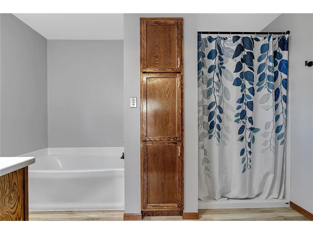 32878 Spunk Tree Circle Avon Twp MN 56310 7007990 image21