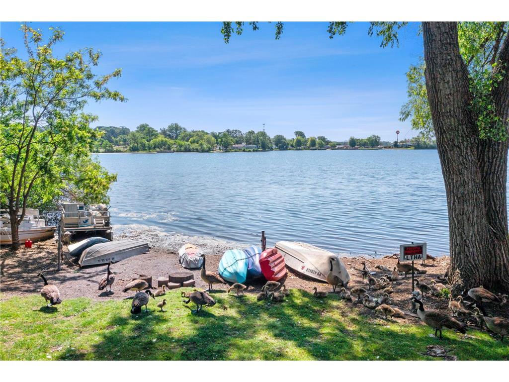 329 Geneva Avenue N #204 Oakdale MN 55128 - Tanners 7086966 image40