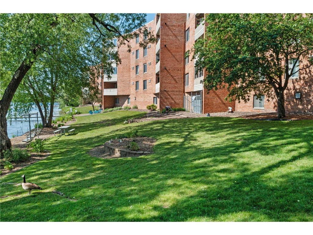 329 Geneva Avenue N #204 Oakdale MN 55128 - Tanners 7086966 image41
