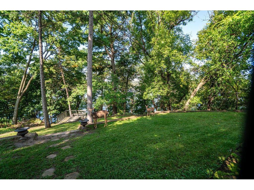 329 Park Circle Menomonie WI 54751 - Lake Menomin 6792981 image57