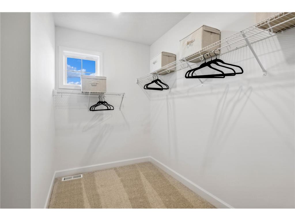 329 Ravencroft Road Waconia MN 55387 7006054 image13