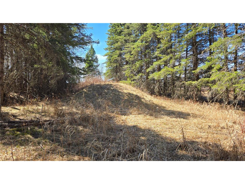 3293 Greaney Road Orr MN 55771 7073229 image10