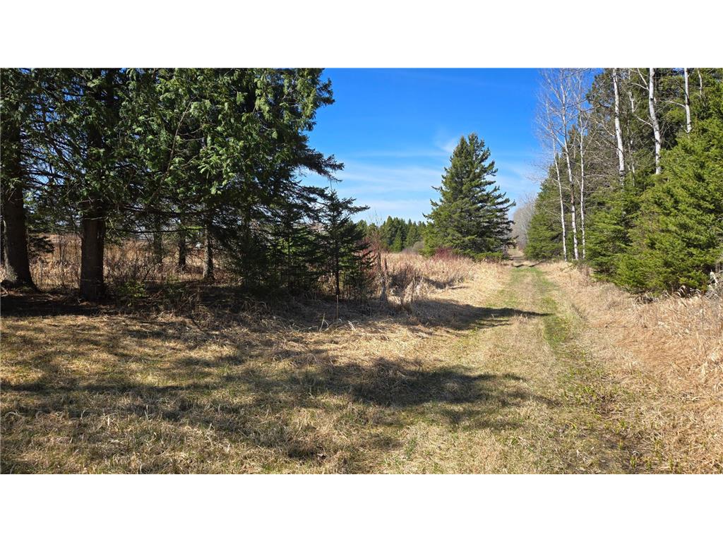 3293 Greaney Road Orr MN 55771 7073229 image13