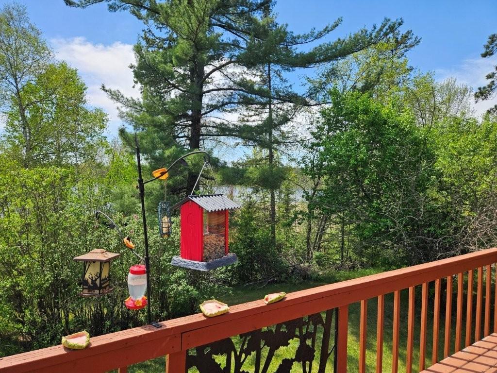 32951 Dahlberg Lake Road Shevlin MN 56676 - Dahlberg 7081676 image25