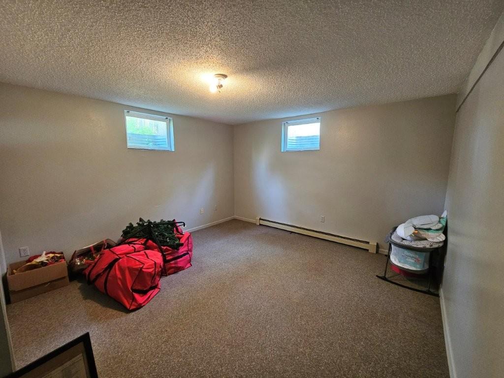 32951 Dahlberg Lake Road Shevlin MN 56676 - Dahlberg 7081676 image53