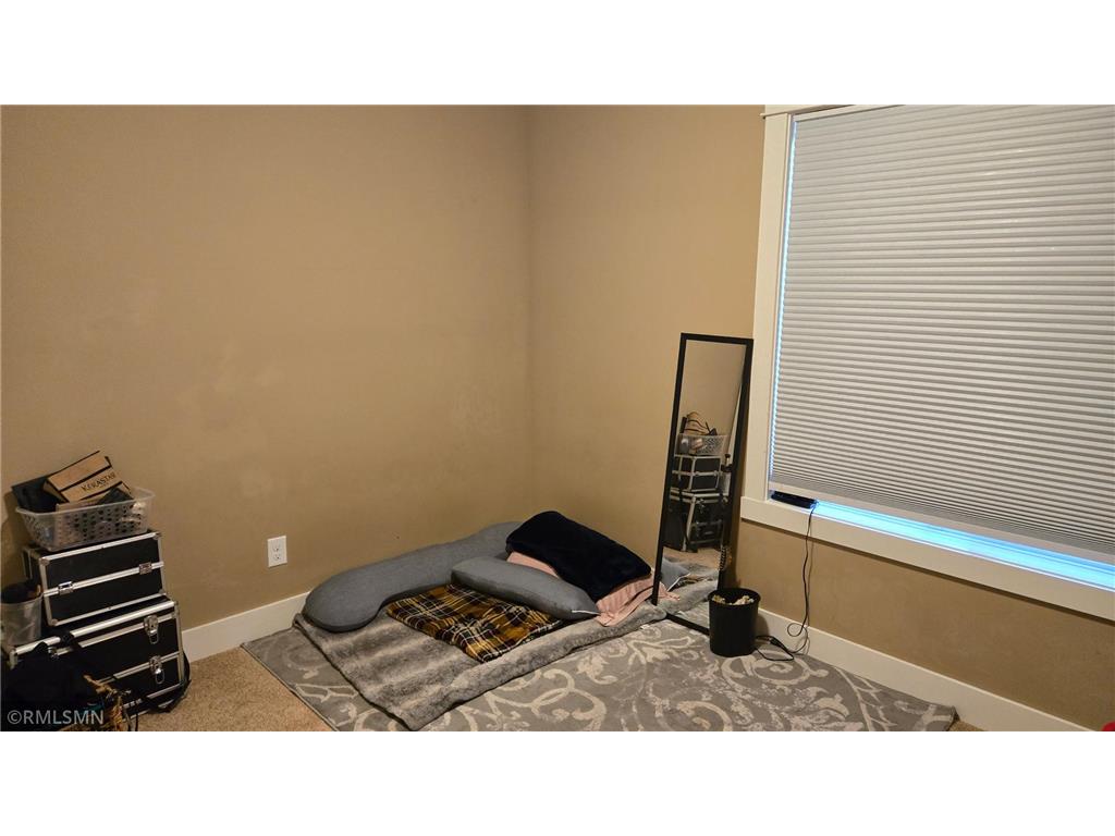 3296 191st Street W Empire Twp MN 55024 6788568 image45