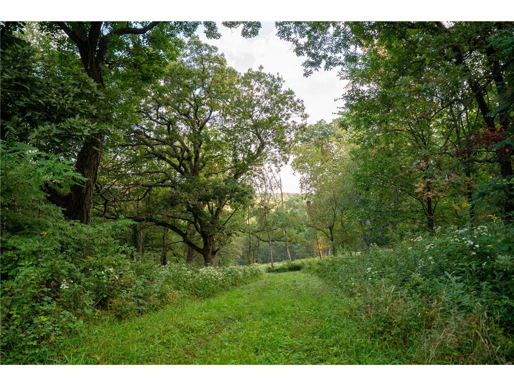 32979 County Road 1 La Crescent MN 55947 6793126 image33