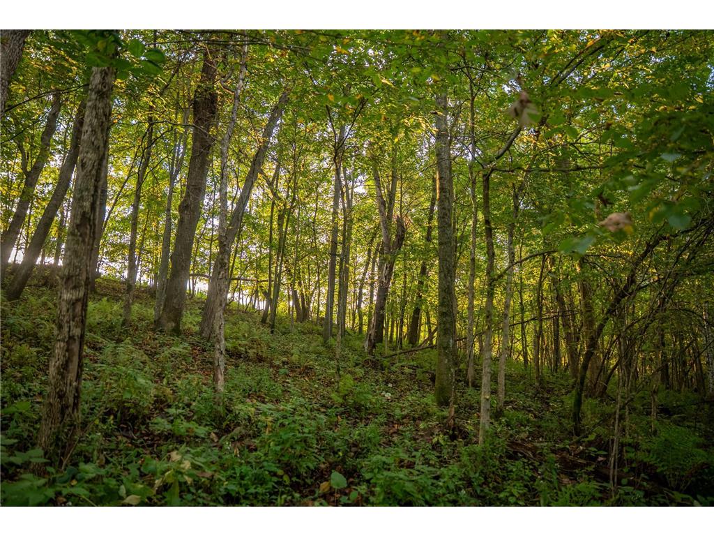 32979 County Road 1 La Crescent MN 55947 6793126 image84