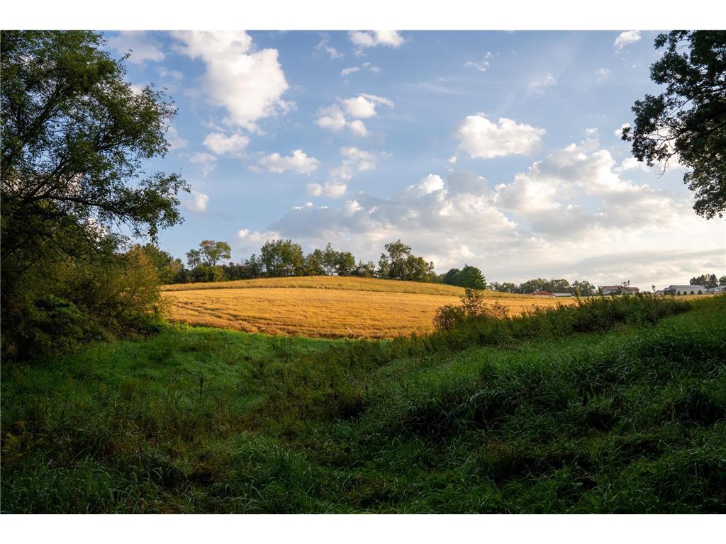32979 County Road 1 La Crescent MN 55947 6793126 image86