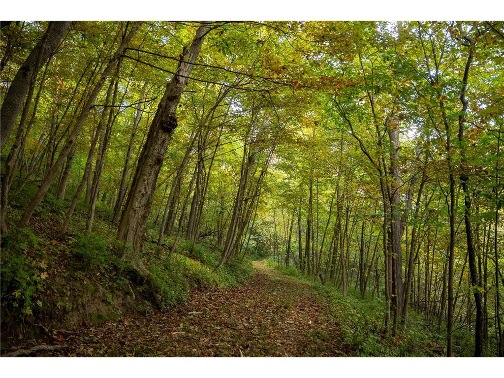 32979 County Road 1 La Crescent MN 55947 6793126 image87