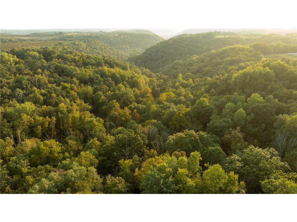 32979 County Road 1 La Crescent MN 55947 6793126 image93