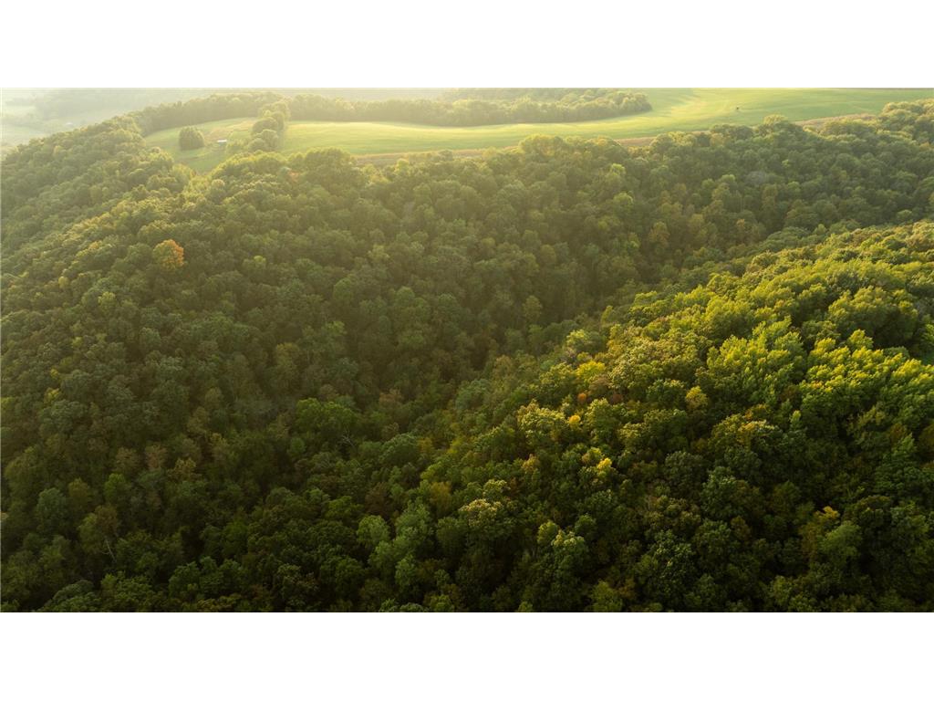 32979 County Road 1 La Crescent MN 55947 6793126 image97