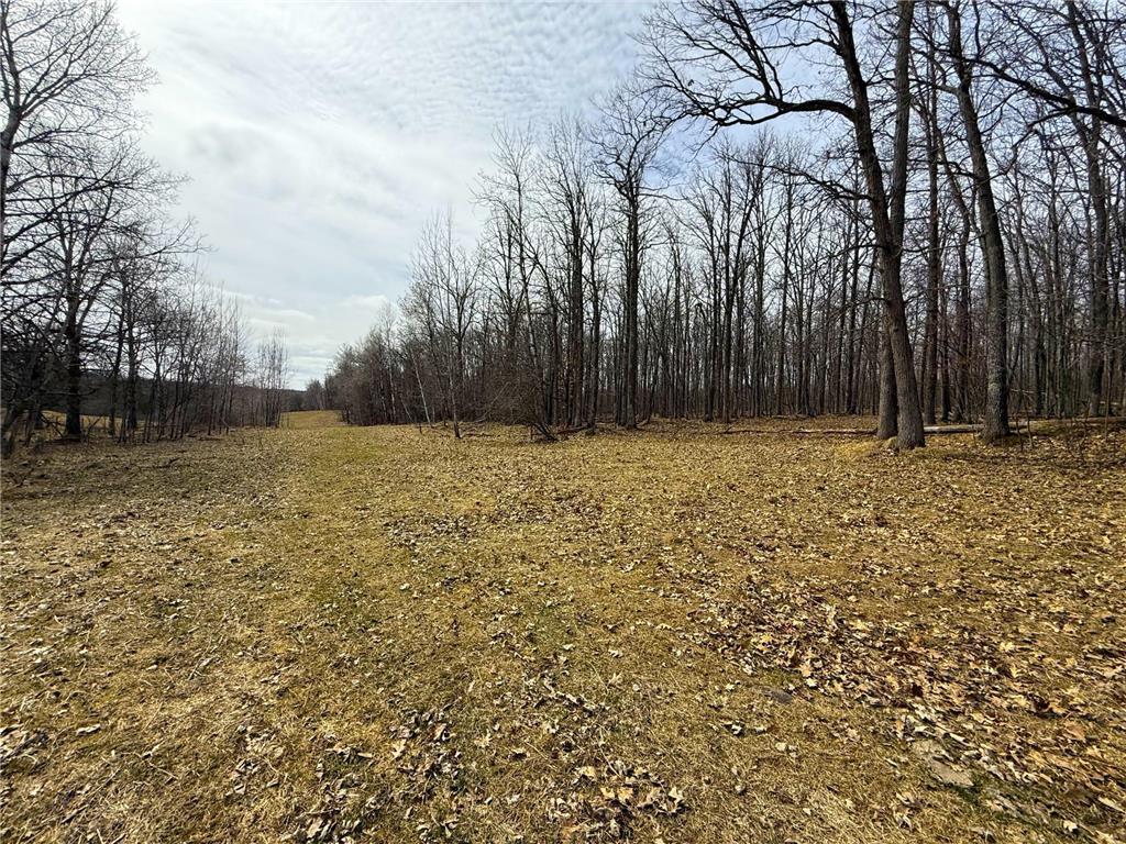 3298 Harbor Street Isle MN 56342 7047349 image69