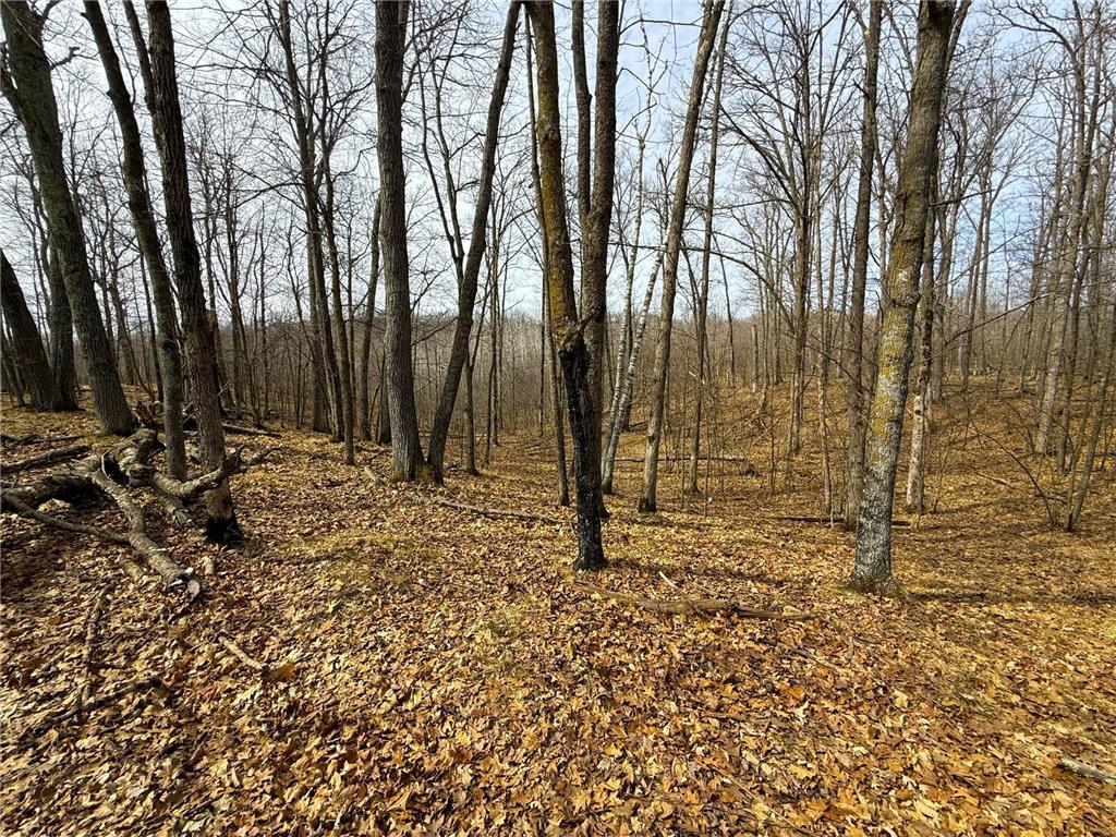 3298 Harbor Street Isle MN 56342 7047349 image72