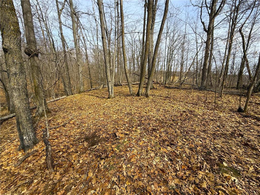 3298 Harbor Street Isle MN 56342 7047349 image73