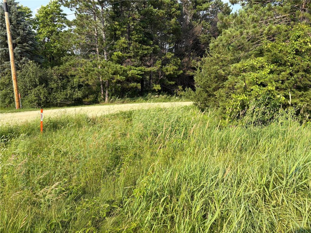 32XXX 67th Avenue Cannon Falls Twp MN 55009 6753390 image4