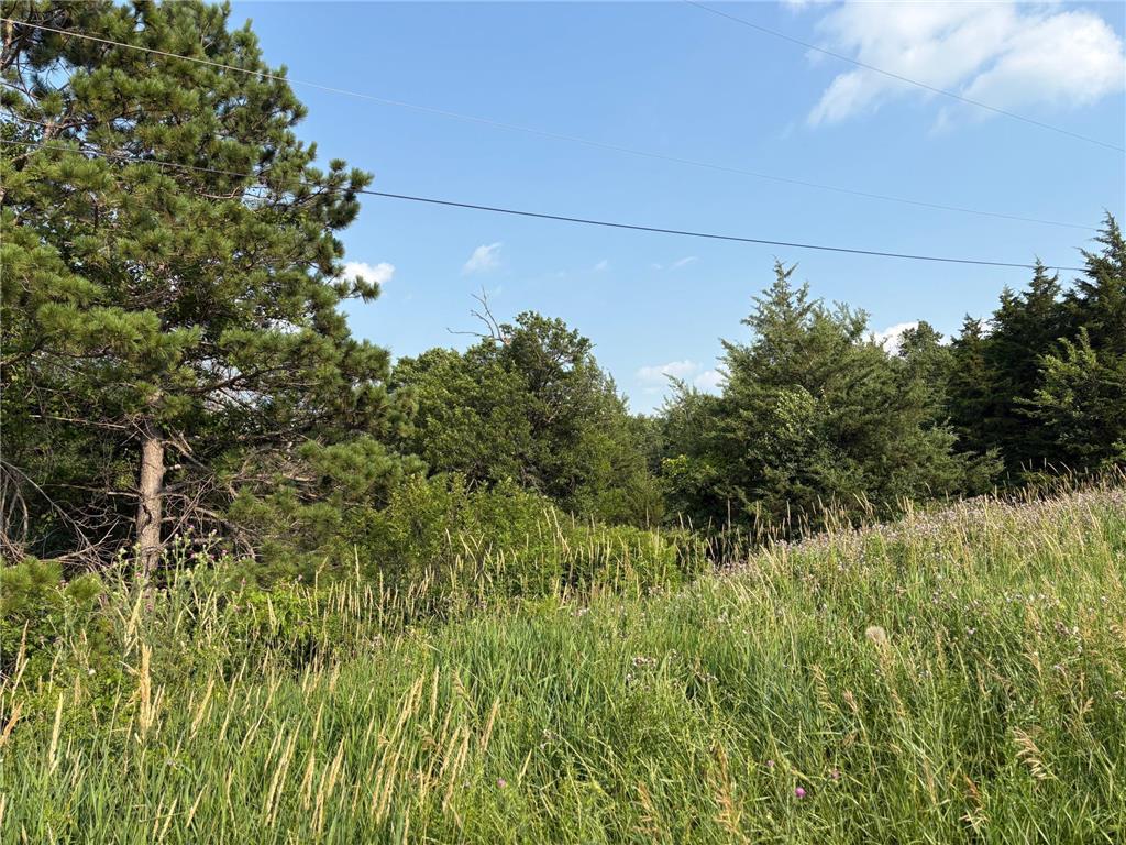 32XXX 67th Avenue Cannon Falls Twp MN 55009 6753390 image5