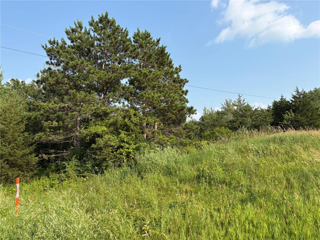 32XXX 67th Avenue Cannon Falls Twp MN 55009 6753390 image7