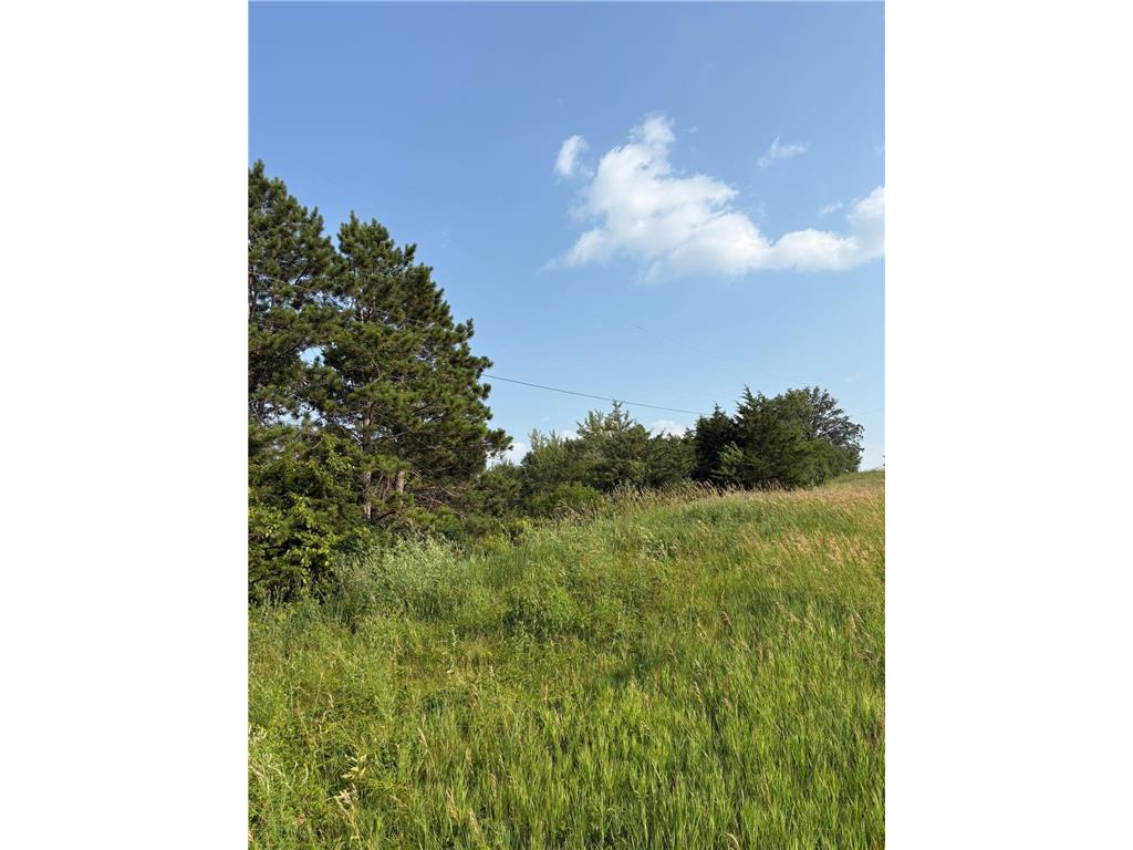 32XXX 67th Avenue Cannon Falls Twp MN 55009 6753390 image8