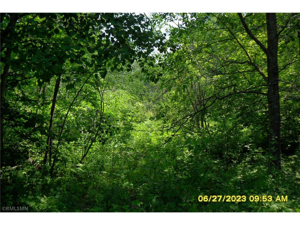 32xxx Highway 47 Hillman Twp MN 55051 6394708 image1