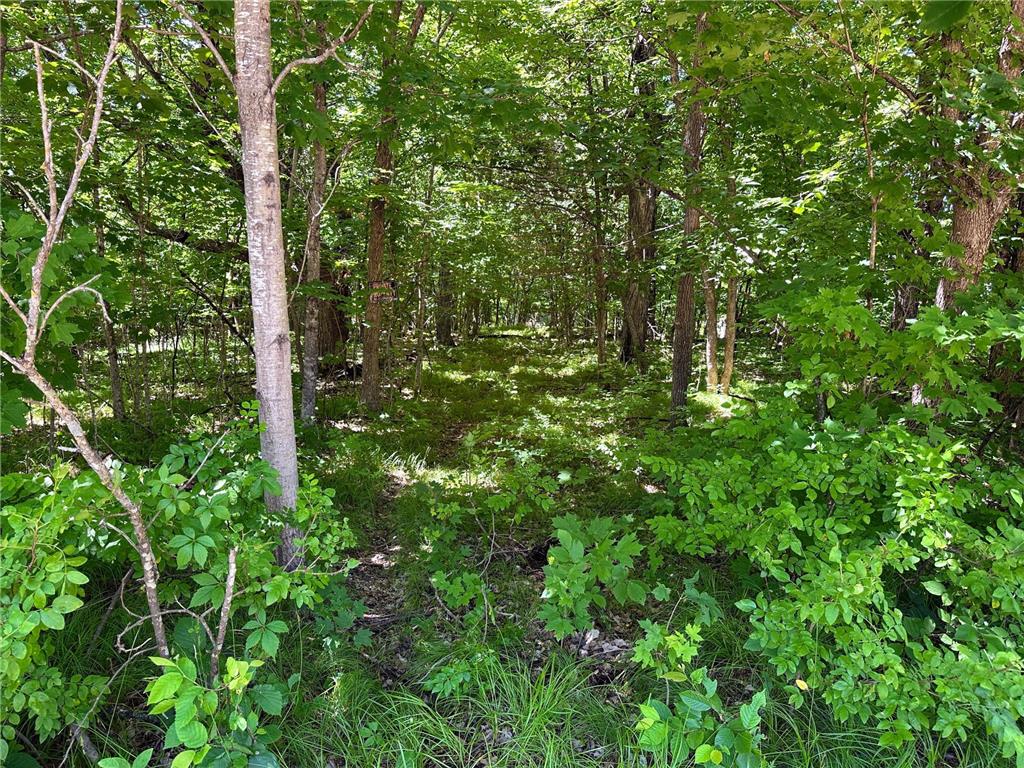 32xxx Smokey Lane Everts Twp MN 56515 6739527 image1