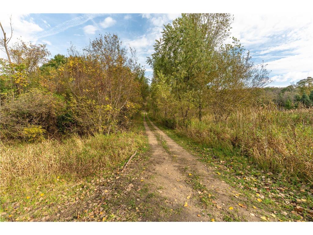 33003 County Hwy 27 Erhard MN 56534 7013890 image106