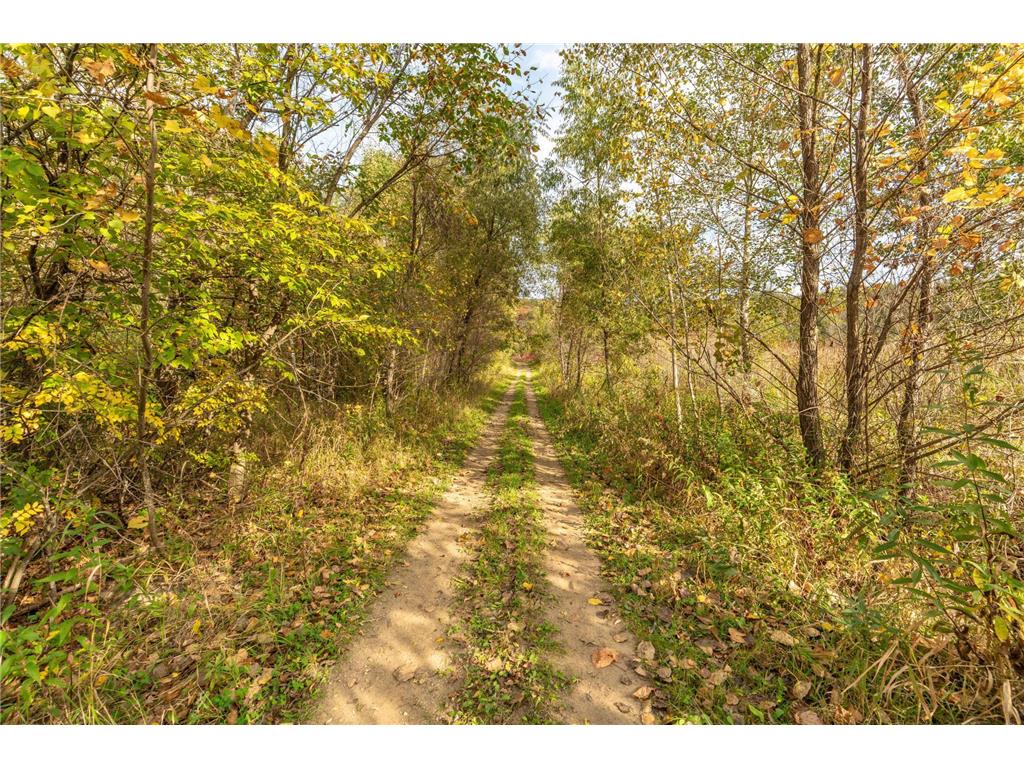 33003 County Hwy 27 Erhard MN 56534 7013890 image107